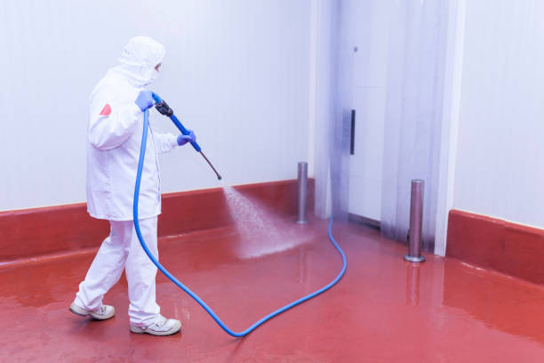 Best Playground Equipment Cleaning  in Paden City, WV