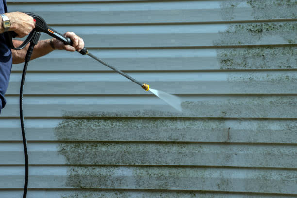 Best Spring Cleaning  in Paden City, WV